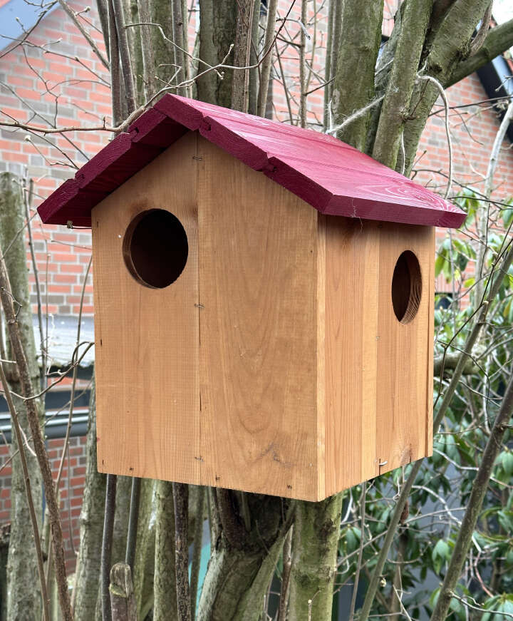 Kleiber Eichhörnchenwohnung